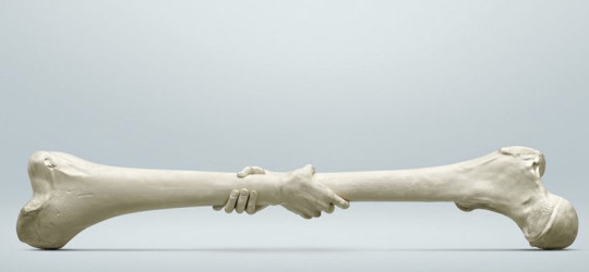 З Днем Травматолога!